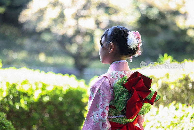 漂亮的日本女孩穿着和服为Shichi go san庆祝